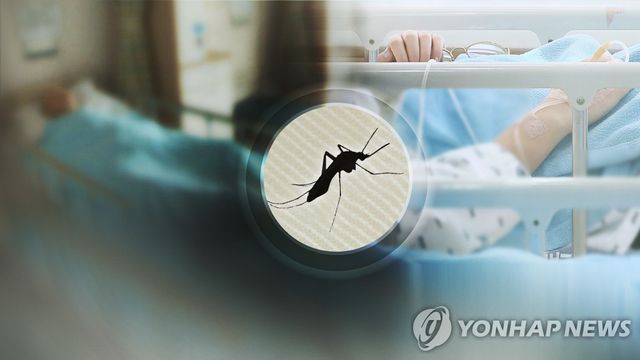 일본뇌염(CG)