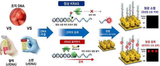 플라즈모닉 기반 액체생검 플랫폼 작동 원리도