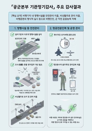 공군본부 정기감사 인포그래픽