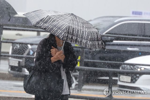 폭우에 몸 사리며