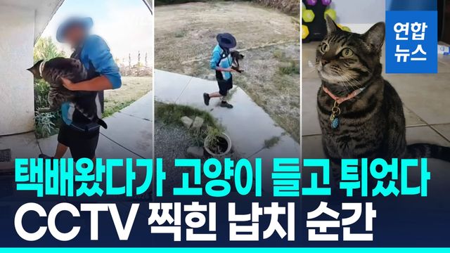 [영상] 택배 놓고 반려묘 훔쳐 간 배송기사…CCTV 공개로 아마존 '발칵' - 2