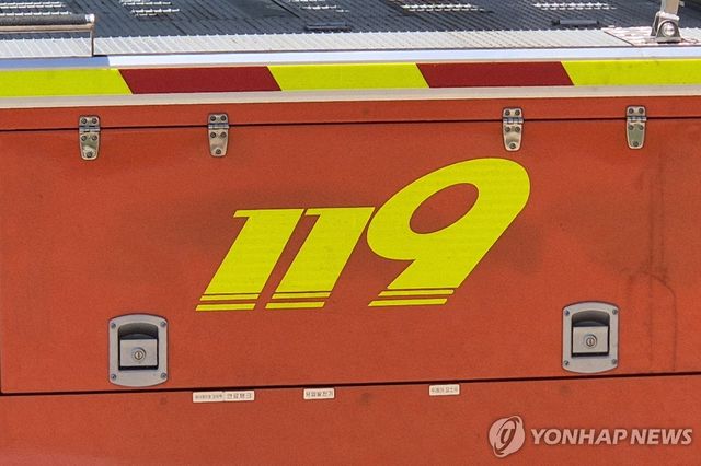 119마크