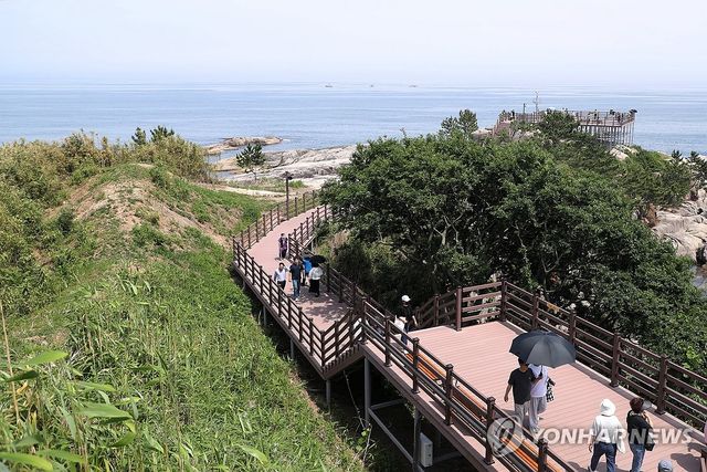 송지호 바다 하늘길에서 바라본 죽도