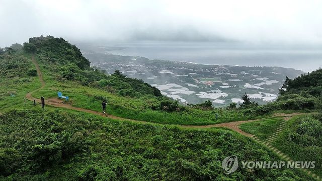 흐린 날씨 속 제주 산책