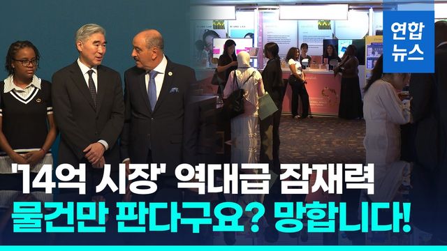 [영상] "한국기업들 신뢰, 하지만…" 아프리카 장관들 솔직한 한마디 - 2