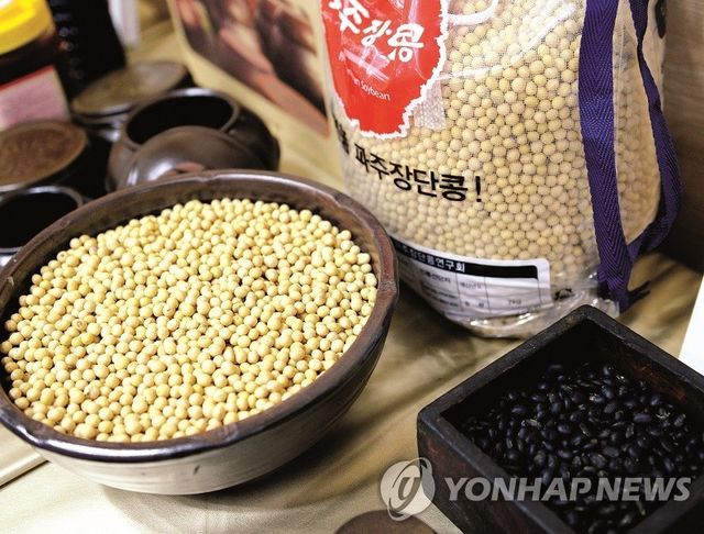 파주 장단콩