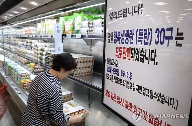 서울의 한 대형마트에 저렴하게 판매하는 계란의 품절 안내판이 게시된 모습