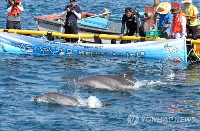제돌·춘삼이의 꿈은 바다였습니다