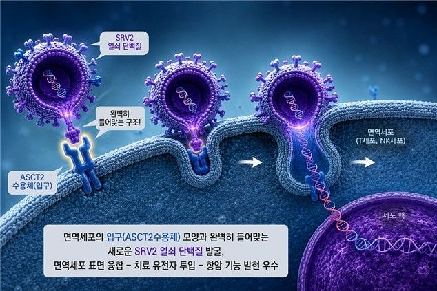 연구 이미지