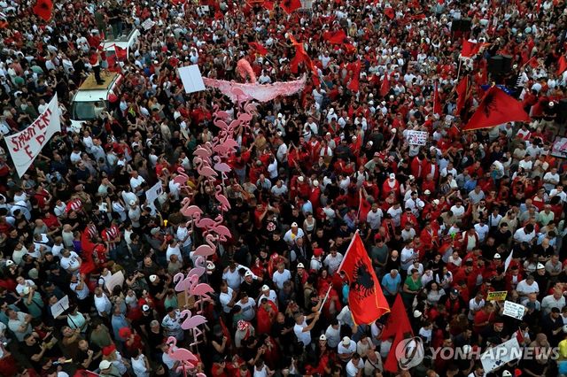 알바니아 '플라밍고 시위' 모습