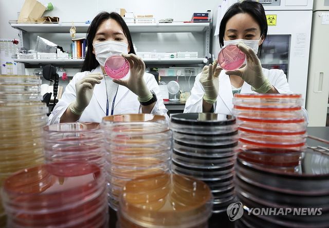 식중독균 배양분리작업