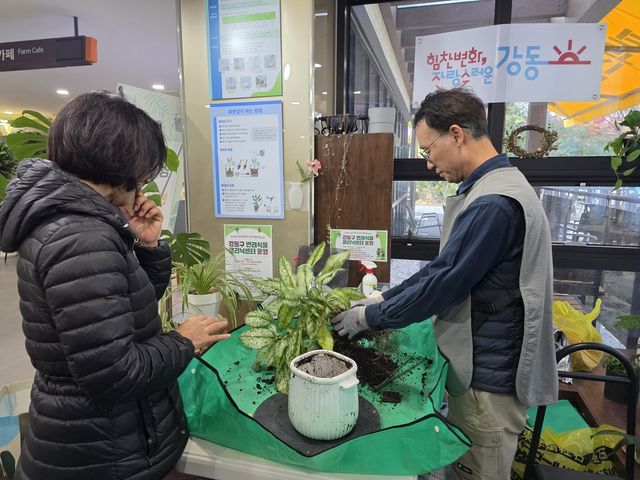 강동구 반려식물 클리닉