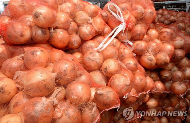 양파
