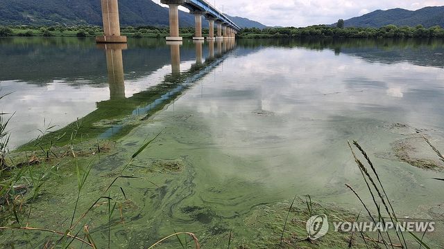 지난 18일 낙동강 녹조
