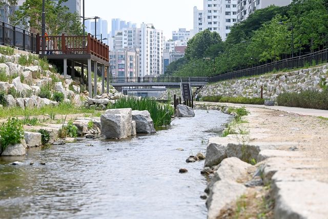 굴포천 생태하천