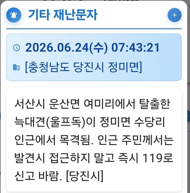 서산 탈출 늑대개, 당진까지?