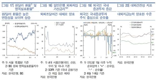대외건전성지표 등 [한은 제공]