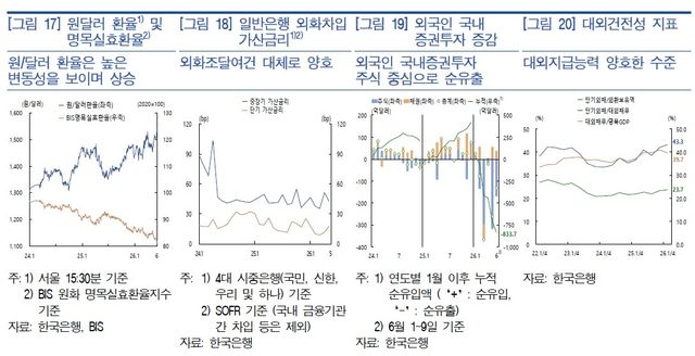 대외건전성지표 등 [한은 제공]