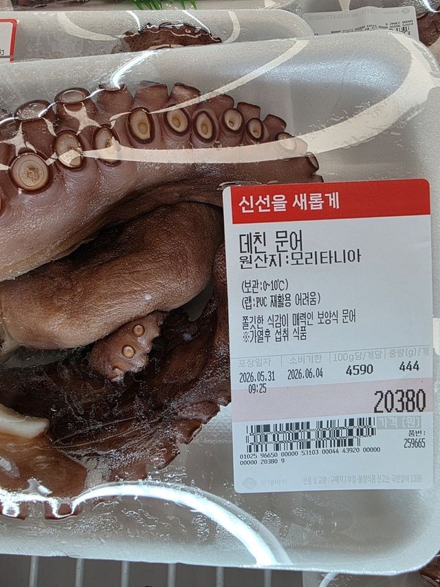 모리타니아산 문어