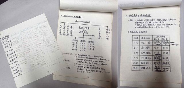 1981년 한국프로야구 창립 기획 관련 자료
