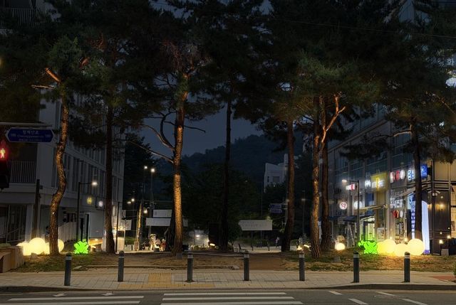 수목투사등 및 포인트 조명