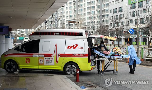 지역병원 응급의료센터로 이동하는 환자와 119구급대 모습