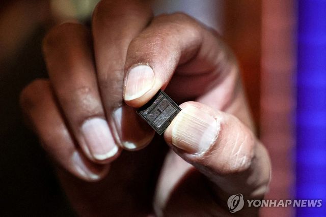 마이크론의 메모리 칩