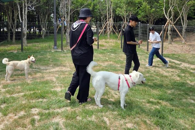 광주 서구 공공 반려견 놀이터