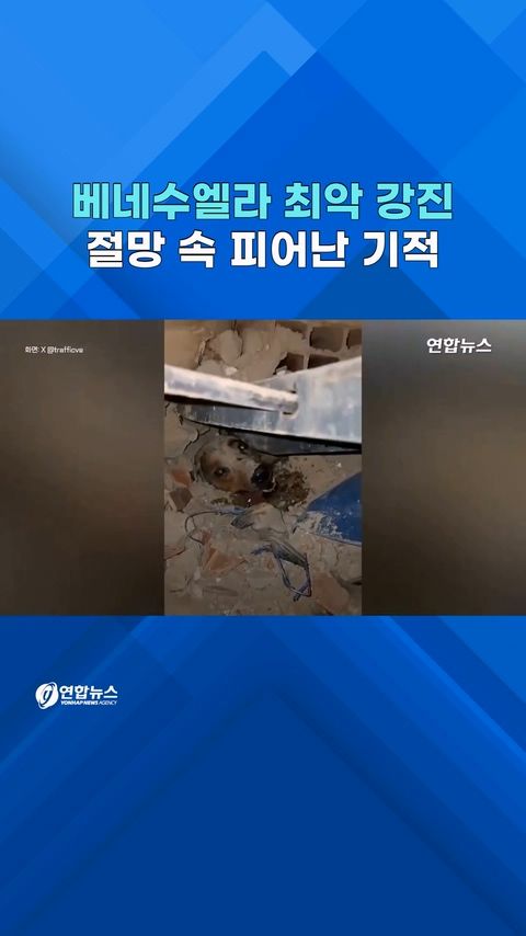 [쇼츠] '최악 지진' 베네수엘라…참혹 현장 속 '기적의 순간' - 2