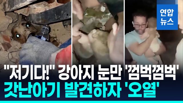 [영상] 흙먼지속 아기, 눈만 껌벅이던 강아지…참혹 현장속 기적의 순간 - 2