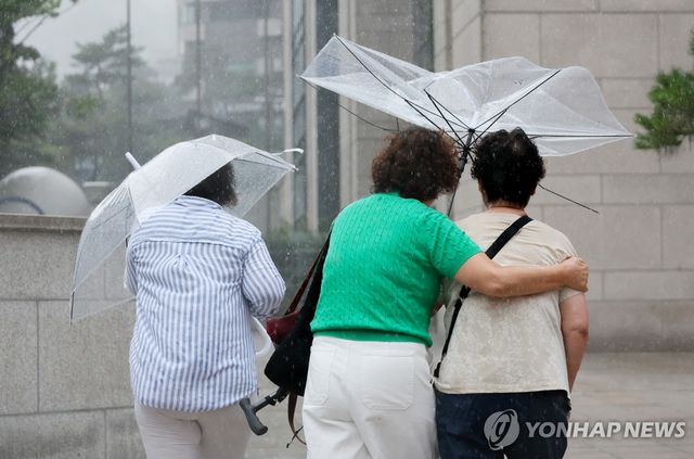 소나기