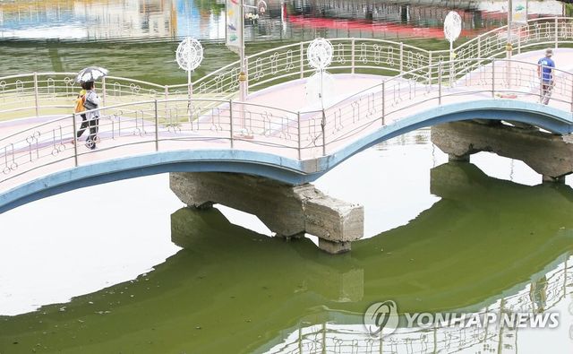 지난 2015년 춘천 공지천 녹조 