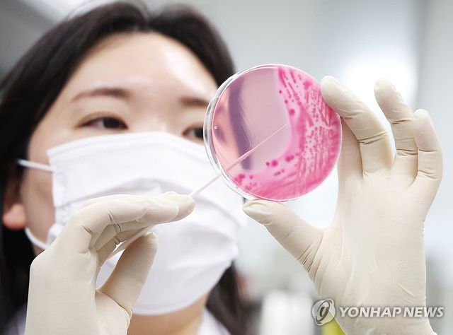 식중독균 배양분리작업