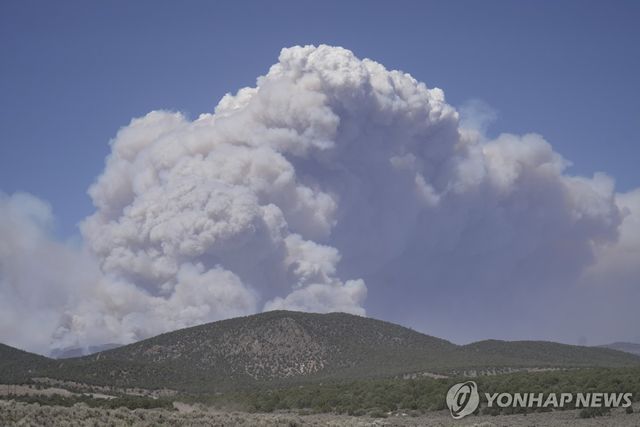 유타 코튼우드 산불