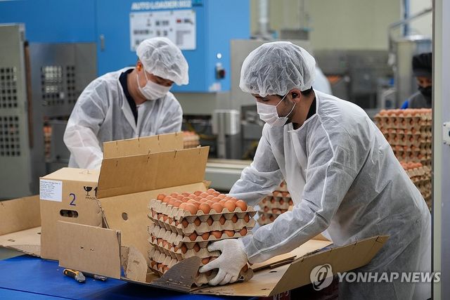 '계란 수급 안정' 태국산 신선란 유통 준비