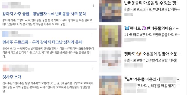 펫사주·펫타로 온라인 서비스