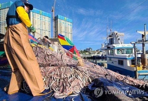 2022년 10월 어민들이 양미리(까나리)를 배에서 내리는 모습 