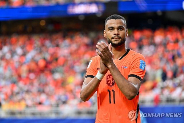 네덜란드 축구대표팀 공격수 코디 학포