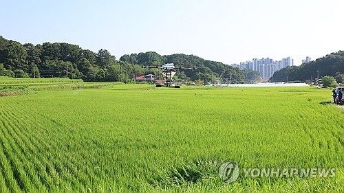 농약도 드론으로 살포