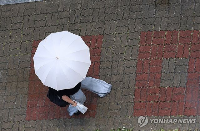 우산 쓴 행인