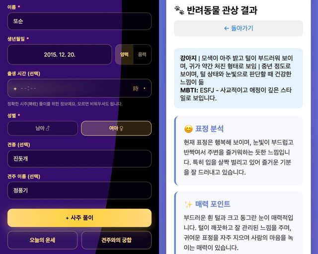 반려동물의 생년월일과 사진 등을 활용해 성향을 분석하는 펫사주·펫관상 서비스