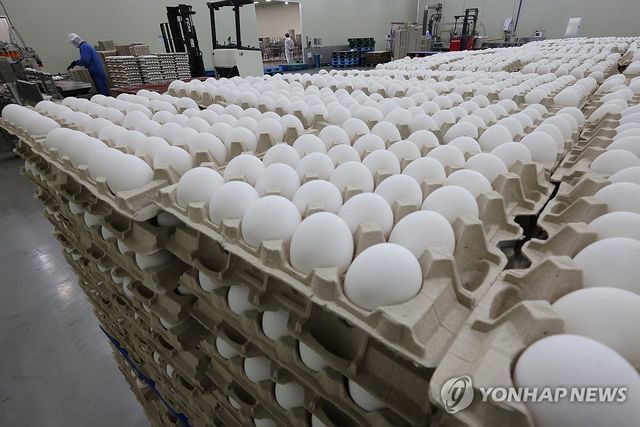 미국산 계란
