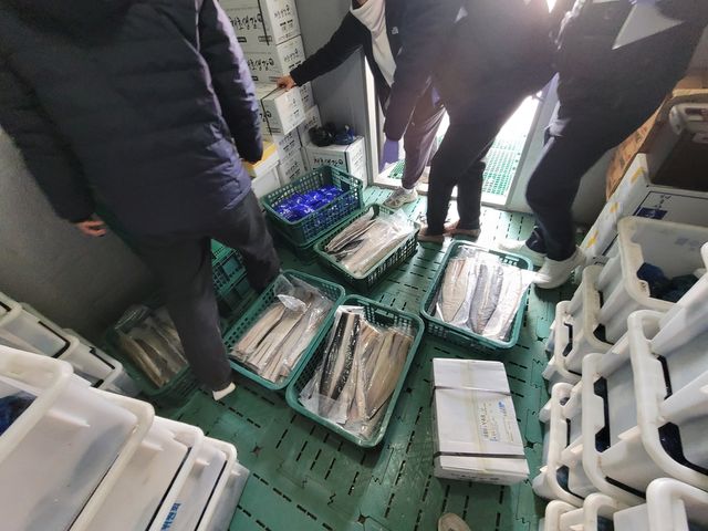 중국산 냉동 민물장어