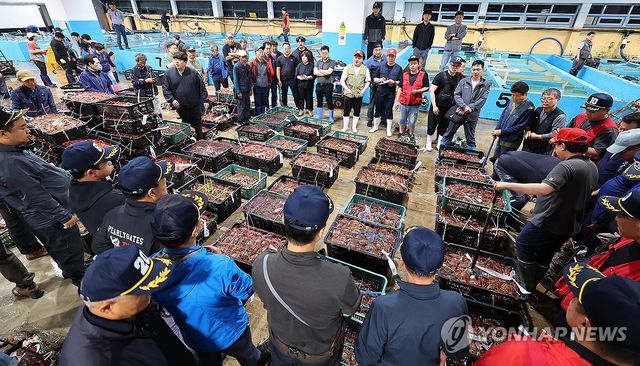 고유가에 어획량감소... 연평도 꽃게 경매