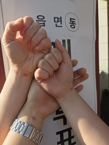 투표 인증샷