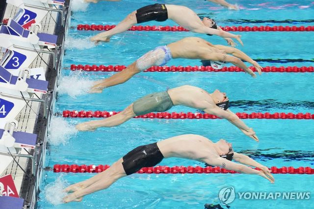동시에 입수하는 배영 출전 선수