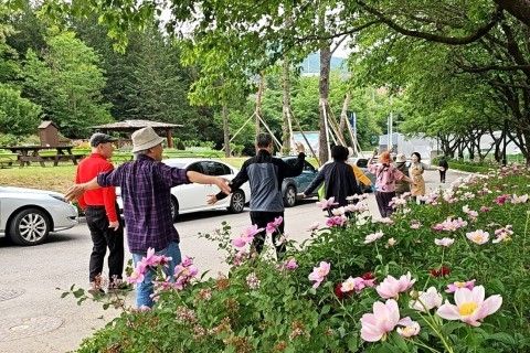 서울시농업기술센터 치유농업 프로그램
