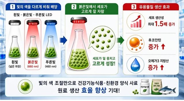 연구 요약 모식도