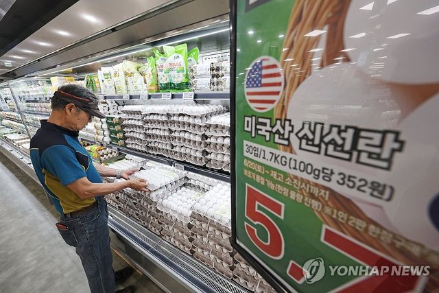 정부, 계란 수입에 1천212억원 투입