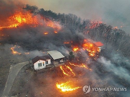 산불에 초토화된 민가